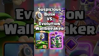 Suspicious Bush VS Evolution Wallbreakers clashroyale shorts [upl. by Ainirtak696]