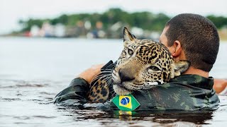 Humans Rescued Animals And Got Thanked In The Cutest Way [upl. by Ahsiek771]