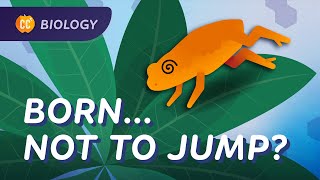 Why This Toad is Bad at Jumping and Other Mysterious Animal Behavior Crash Course Biology 49 [upl. by Pearl642]