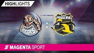 Straubing Tigers  Krefeld Pinguine  18 Spieltag 1920  MAGENTA SPORT [upl. by Walford]