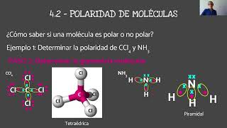 Polaridad de enlaces y de moléculas  CURSO DE QUÍMICA PARA SELECTIVIDAD DESDE CERO [upl. by Aleka]