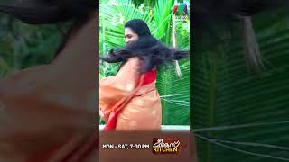 ഒരു കുട്ടി റീലുമായി ദിവ്യ 🤩 meenuskitchen bts [upl. by Hogarth]