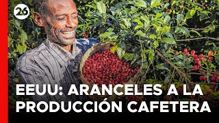 EEUU  Productores de café están expectantes por las medidas de Trump [upl. by Tonie]