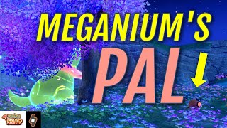 How to Find Hoothoot and Complete Meganiums Pal Lentalk Request  New Pokemon Snap [upl. by Wilburt510]