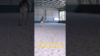 Horse canter so much easier than a ponies [upl. by Heti]