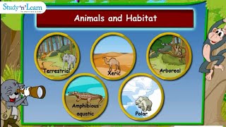 Adaptations in Animals  Habitats  Terrestrial Aquatic  Class 4 [upl. by Albertson]