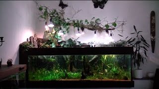 1200l Aquarium Südamerika Becken mit LEDBeleuchtung Mit Peru Altum Sammler und LWelsen [upl. by Dorsy]