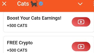 Cats Youtube video Code 2 October  Cats Free Crypto video code Today [upl. by Jacqui]