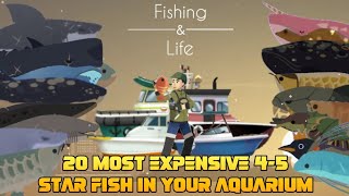 Fishing amp Life  Top 20 Best 4  5 Star Fish in your Aquarium [upl. by Tertia636]