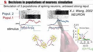 NDC55  Simulations and Experiments [upl. by Kellene378]