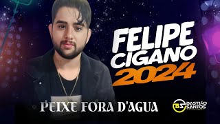 Felipe cigano 2024 peixe fora dagua [upl. by Rawde]