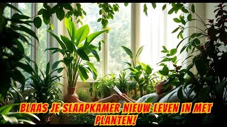 🌿 De Beste Planten om Je Slaapkamer te Decoreren Design en Ontspanning 🌿 [upl. by Celina982]