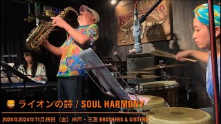 🦁 ライオンの詩 （Original）  2024年11月29日（金） Soul Harmony LIVE in 神戸・三宮 Brothers amp Sisters [upl. by Aissat]