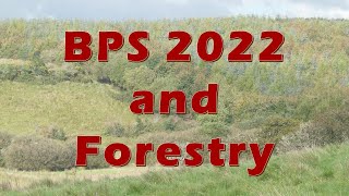 Basic Payment Scheme and Forestry 2022 [upl. by Meara993]