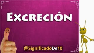 Excreción Definición 💥 Significado de Excreción [upl. by Bergstrom]