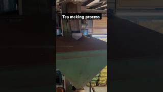 Tea making process in garden of tea tamil south teagarden tamilheritage ooty [upl. by Theodor]