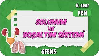 Solunum ve Boşaltım Sistemi 📗 tonguçCUP 2Sezon  6FEN5 2024 [upl. by Tenej576]