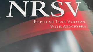 Sirach or Ecclesiasticus NRSV Bible Chapter 19 Apocryphal Audiobook [upl. by Molloy862]