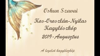 KOS OROSZLÁN NYILAS AUGUSZTUSI KAGYLÓSZKÓP TAROT [upl. by Yddor]