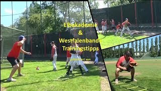 Baseball Traingstipps Outfield Flyball Drills  deutsch [upl. by Analla584]