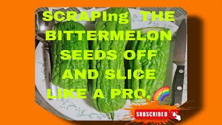 SATISFYING SCRAPING BITTER MELON SEEDS OF AND SLICJNG LIKE A PRO🌈 ASMRSHORTSFEEDSHORT [upl. by Corilla]