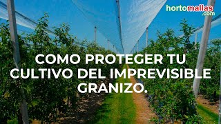 Como proteger tu cultivo del imprevisible granizo [upl. by Corenda553]