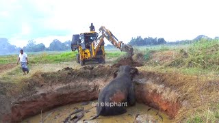 rescue a wild elephant from the well attack risk dengue wildlife [upl. by Ecnedurp122]