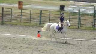 Dressage Training Level Test 1 [upl. by Reo]