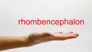 How to Pronounce rhombencephalon  American English [upl. by Enilaf285]