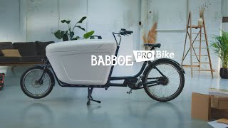 The Babboe Pro Bike [upl. by Ppik393]