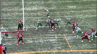 CFL West Final Recap Saskatchewan 20 Calgary 16 November 21 2010 [upl. by Shelburne]