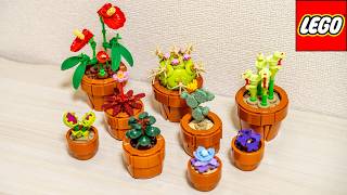 LEGO Icons 10329 The Botanical Collection  Tiny Plants  Speed Build [upl. by Redienhcs]