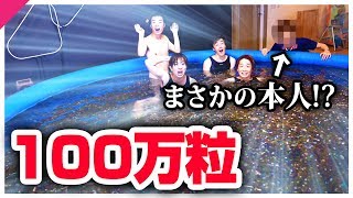 【神回】100万粒のぷよぷよボールでプール作ったら奇跡起きた！！！！ [upl. by Aicert]