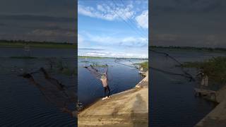 Amazing video fishing lake fishing traditional techniquenature thrownetfishing [upl. by Jopa]