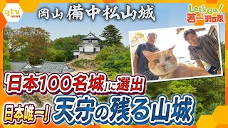 【若一調査隊】城主は猫！現存12天守の中で唯一の山城『備中松山城』急峻な岩盤上に築かれた圧倒的存在感を放つ石垣に、町を一望できる圧巻の眺望 国の重要文化財にも指定されている山城の魅力と歴史を徹底調査！ [upl. by Emaj]