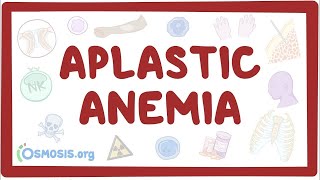 Aplastic anemia  an Osmosis Preview [upl. by Adnilahs966]