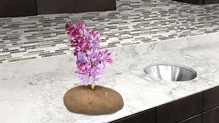 Put A Lilac Flower In A Potato and Watch it GROW HowTo FAST and EASY Growing Method [upl. by Ellebyam]