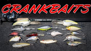 BUYERS GUIDE Crankbait Fishing Shallow Deep Lipless Rods Reels [upl. by Neyuq519]