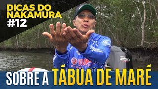 TÁBUA DE MARÉ  EFEITO DOS VENTOS DICAS DO NAKAMURA 12 [upl. by Lyndsie61]