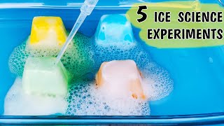 5 Winter Science Experiments with ice  Simple science for kids [upl. by Brasca]