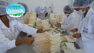 Fabricação do queijo de coalho  Laticínios Várzea  como fabricar queijo de coalho [upl. by Desdamonna]