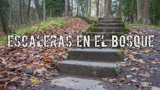 Escaleras en el BOSQUE [upl. by Aidile]