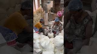 Most Hygienic Way Of Making Mini Kachori In Jamnagar Factory  Indian Street Food [upl. by Niggem]