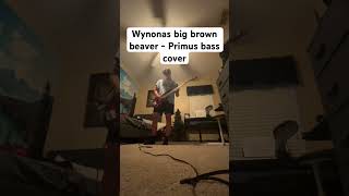 Wynonas big brown beaver  Primus bass cover [upl. by Eatton]