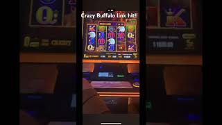 Buffalo link slot machine jackpot handpay Massive hit [upl. by Krishnah226]