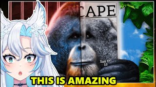 The Ultimate Escape Artist The Ape That Couldnt Be Contained  Joeseppi React [upl. by Odlopoel]