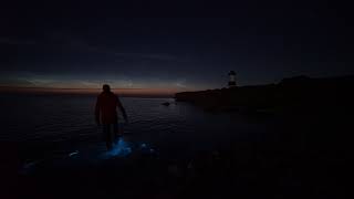 Bioluminescence on the Isle of Anglesey [upl. by Eugatnom]