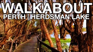 Herdsman Lake  Walkabout Perth Western Australia [upl. by Carie198]