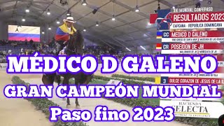 MÉDICO DE GALENO GRAN CAMPEÓN MUNDIAL DEL PASO FINO 2023 República Dominicana 🇩🇴 [upl. by Danczyk]