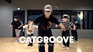 PAROV STELAR  Catgroove  Yohan Choreography [upl. by Map]